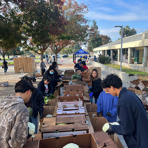 Photo of volunteers packing food boxes