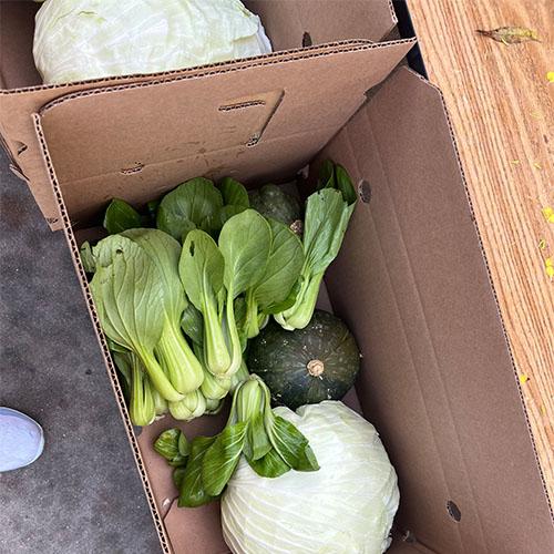 Photo of vegetables in a box