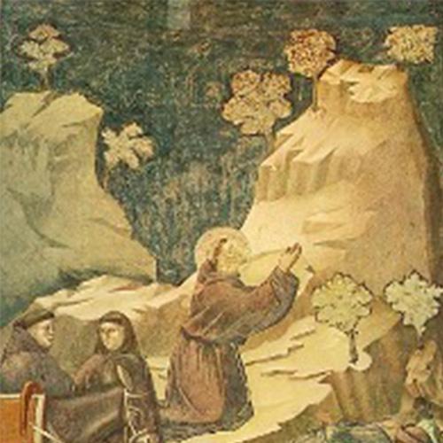 St. Francis - Miracle of Spring