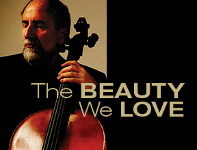 The Beauty We Love