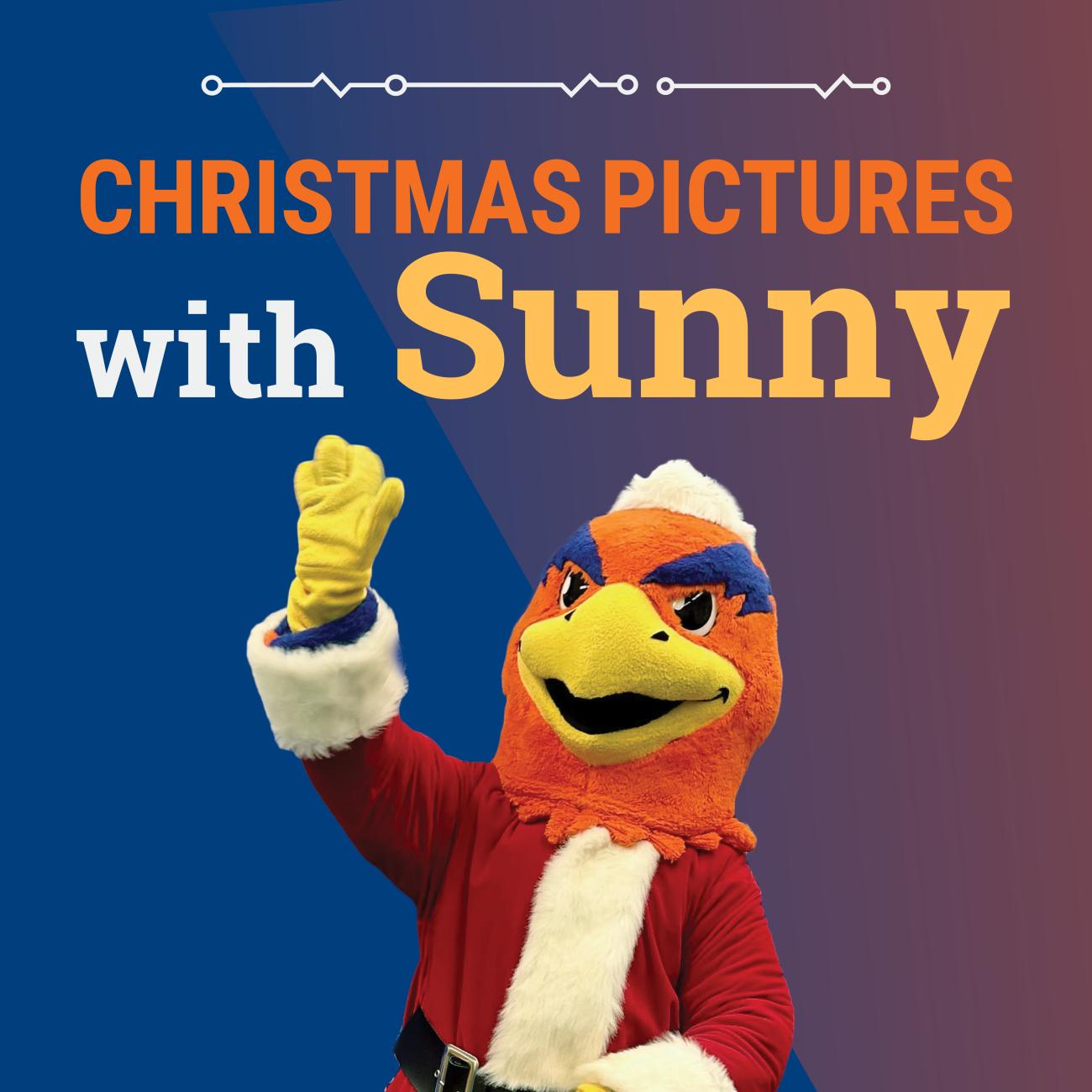 Hero image of Christmas Pictures with Sunny
