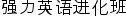 "Intensive English language program" in Chinese