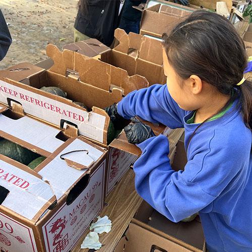 Image of volunteer helping pack food boxes