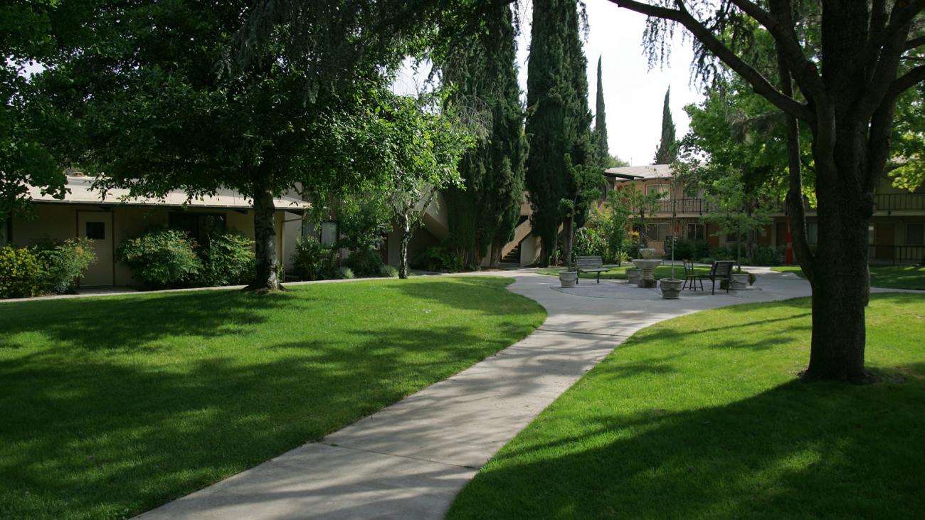 View of Witmarsum Quad