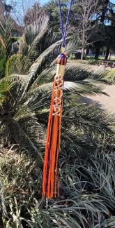 Photo the 2022 tassel