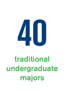 40 traditional undergraduate majors