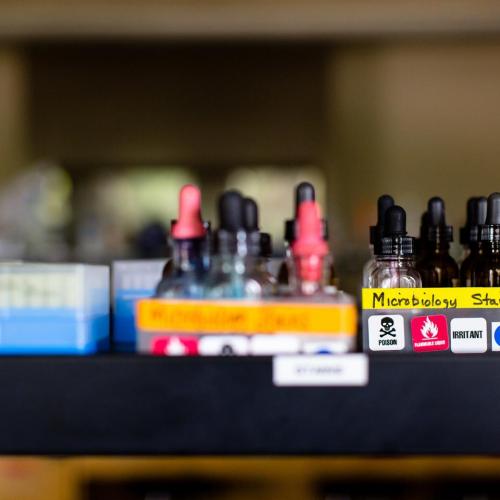 Close up of vials on a lab rack