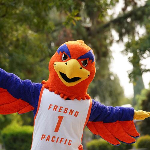 Sunny the Sunbird with his arms out