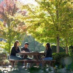 Three students sit around a picnic table beneath sunlit autumn trees on the Fresno Pacific University campus.